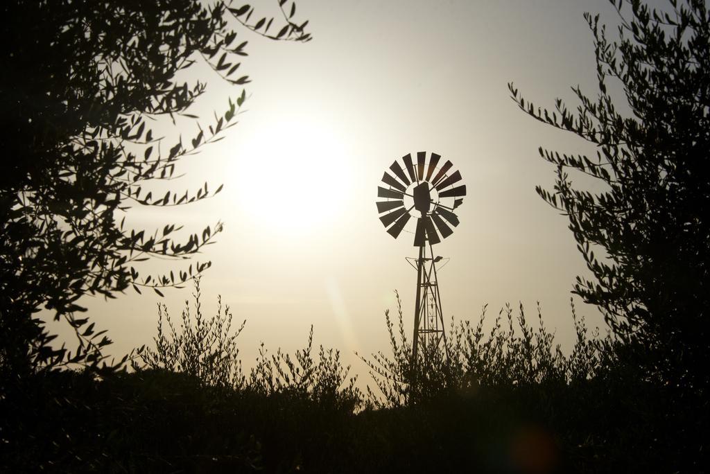 Vakantieboerderij Laselva Albinia