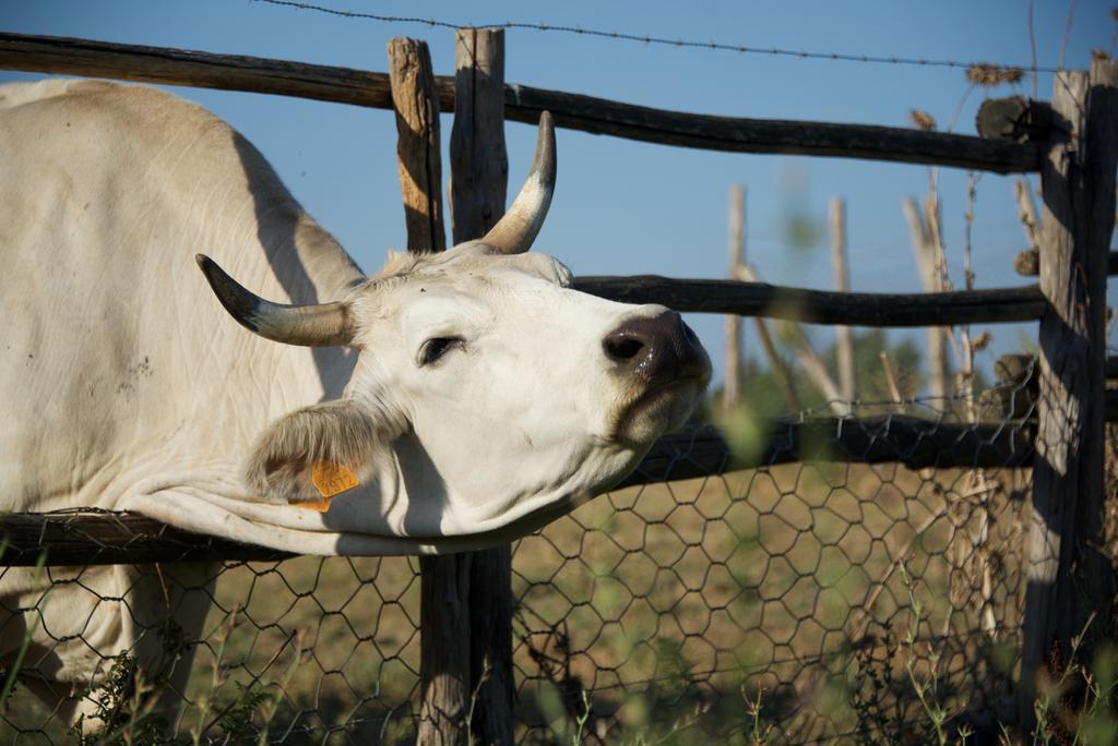 Vakantieboerderij Laselva