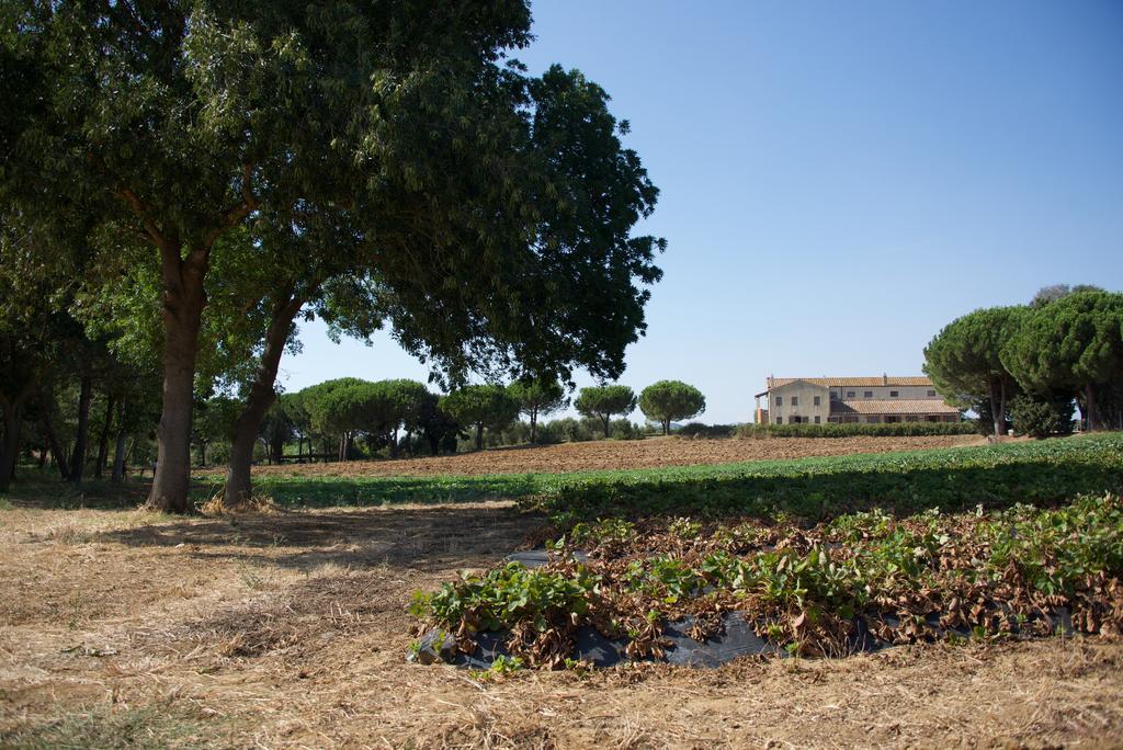Vakantieboerderij Laselva